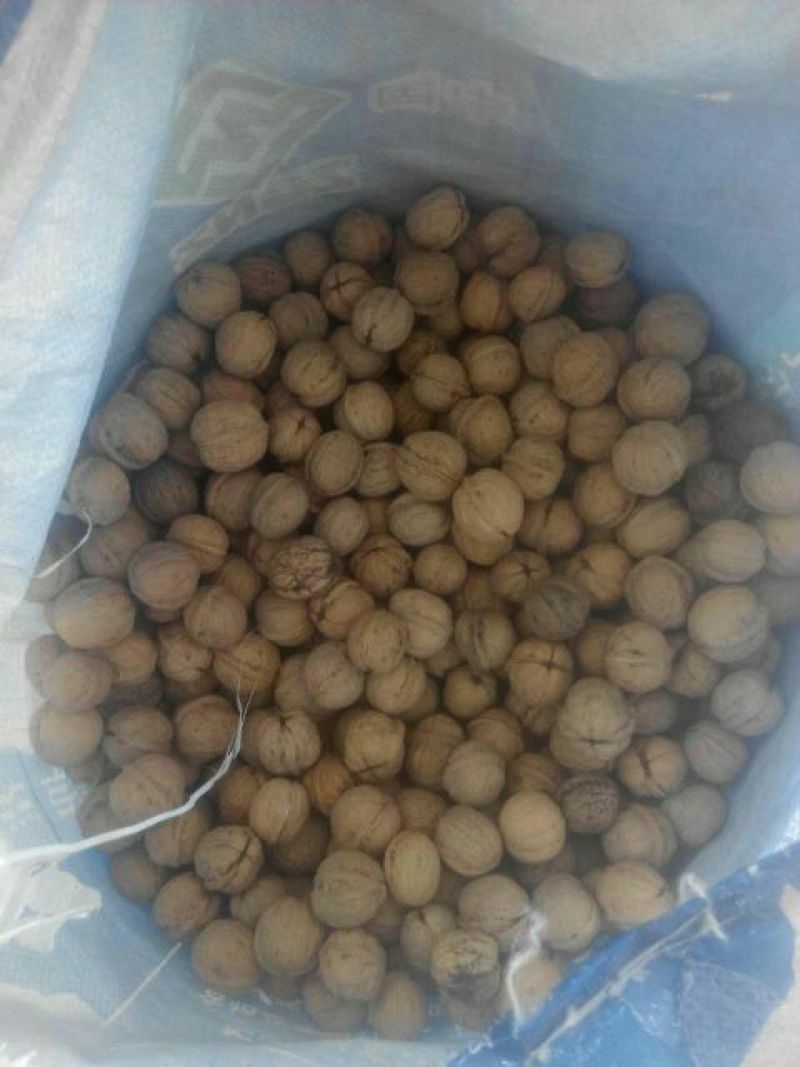 绵核桃30mm以上去皮干