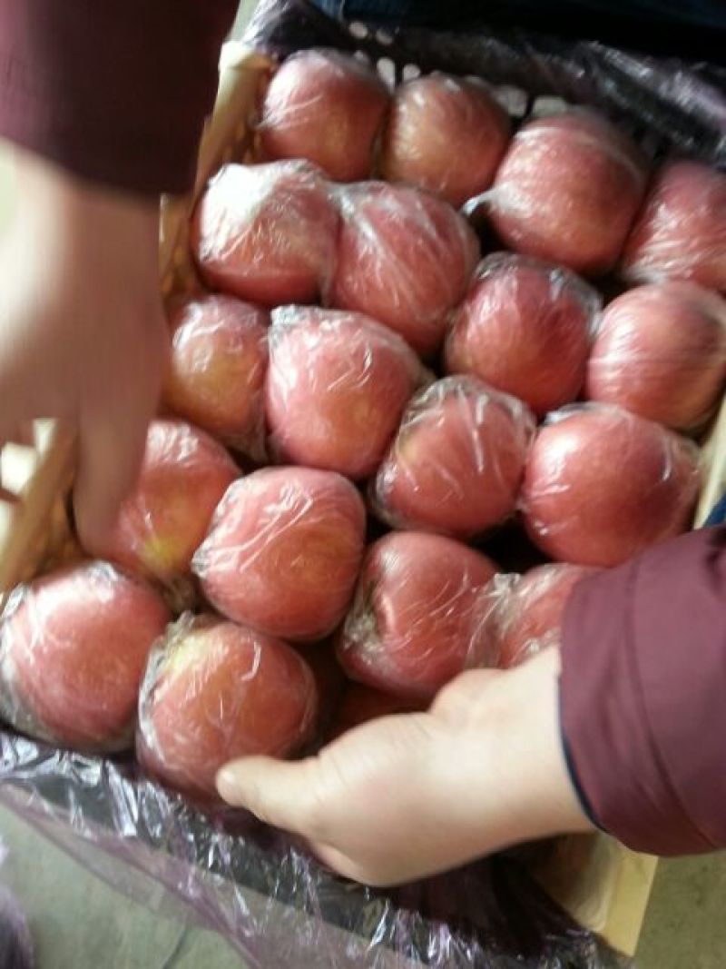 山西临猗纸加膜红富士苹果，冰糖心，颜色红，
