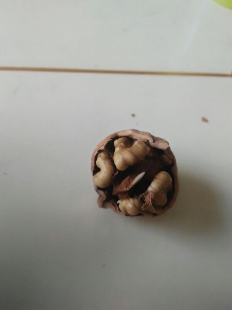 香玲核桃30mm以上去皮