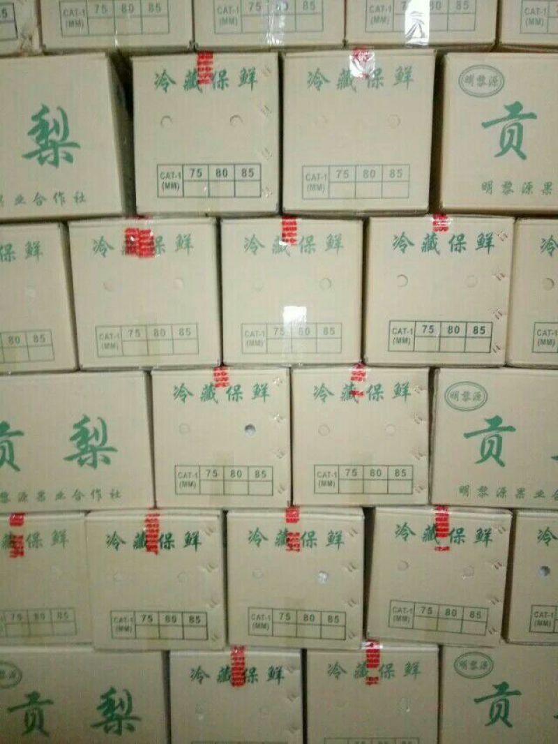 酥梨纸箱350~400g