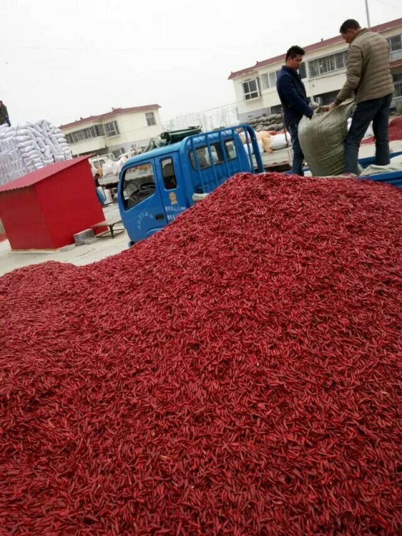 干辣椒精品9成干以上