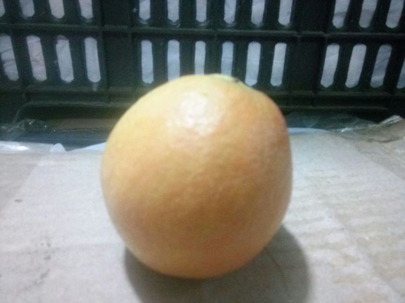 南果梨100~150g筐装