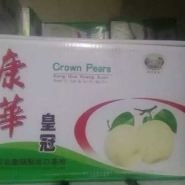 皇冠梨