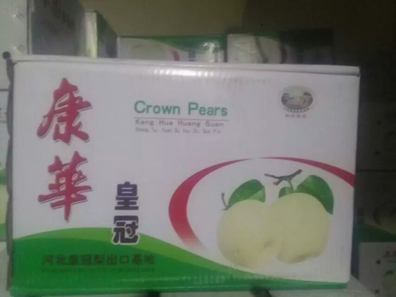 皇冠梨