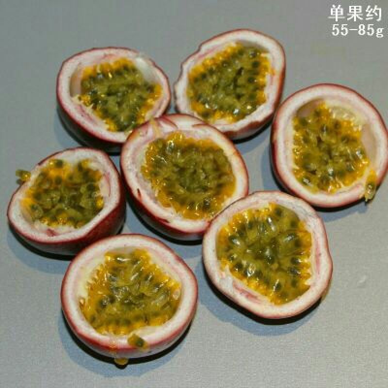 紫香一号60~70g紫果