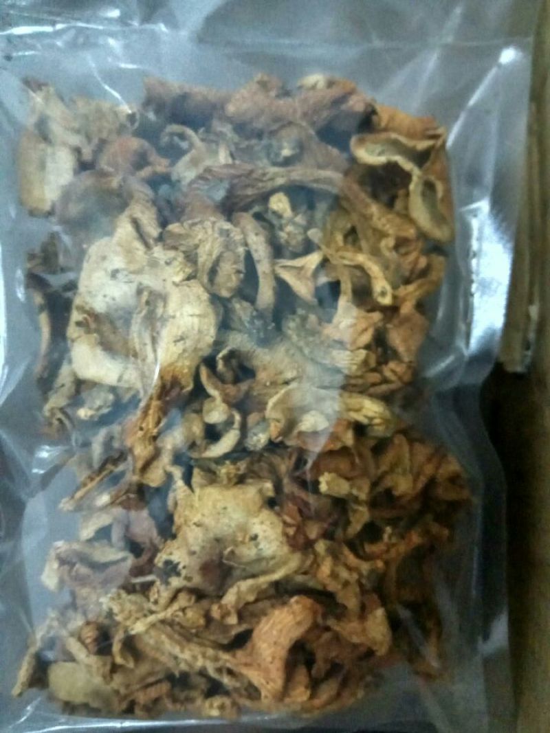 滑子菇干品