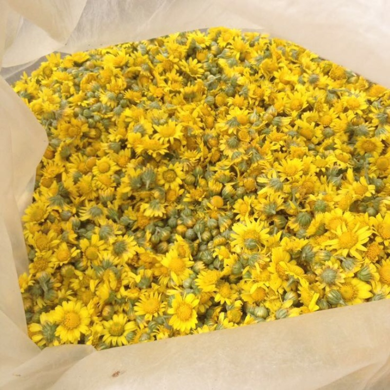 野菊花