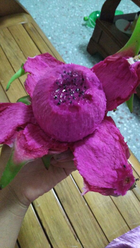 广西玉林市北流市台湾大红火龙果 大(7两以上