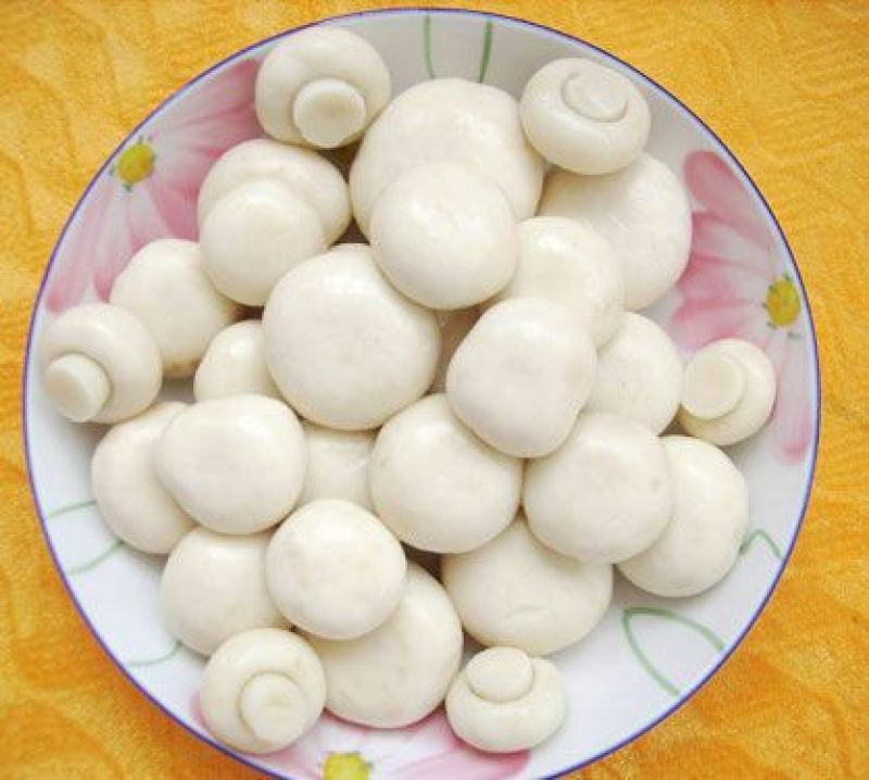 双孢菇一级4cm