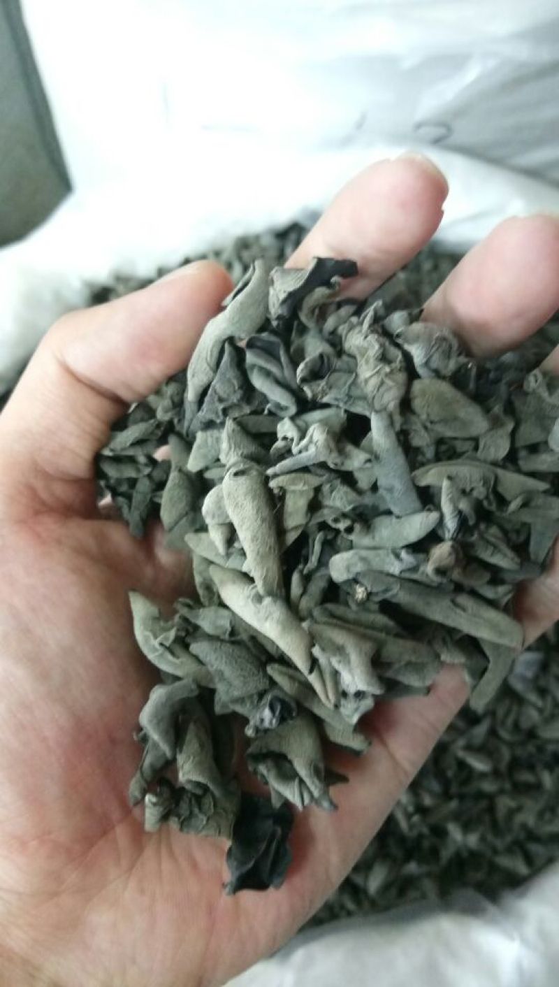 黑木耳特级