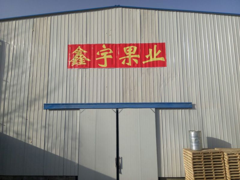 冷库1000吨保鲜冷库