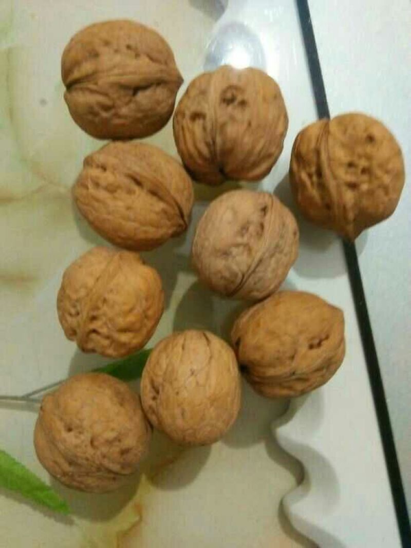薄皮核桃30mm以上去皮干