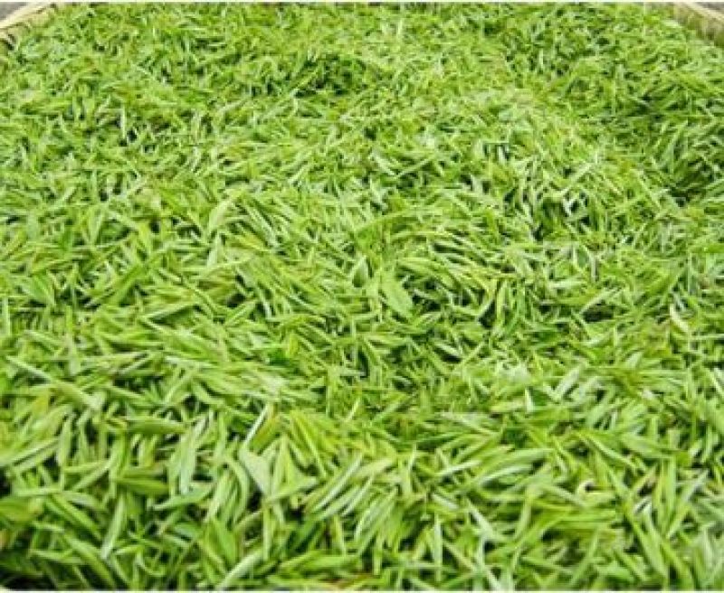 石阡苔茶特级
