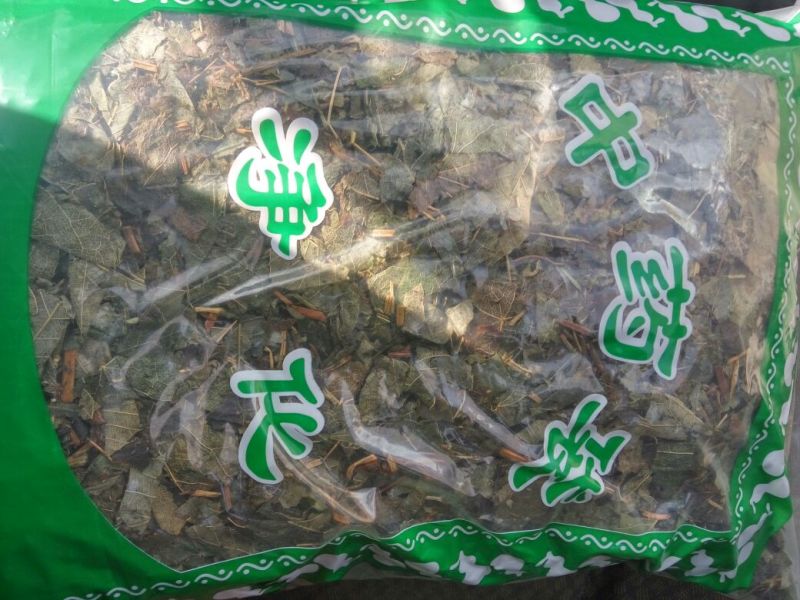 淫羊藿全叶