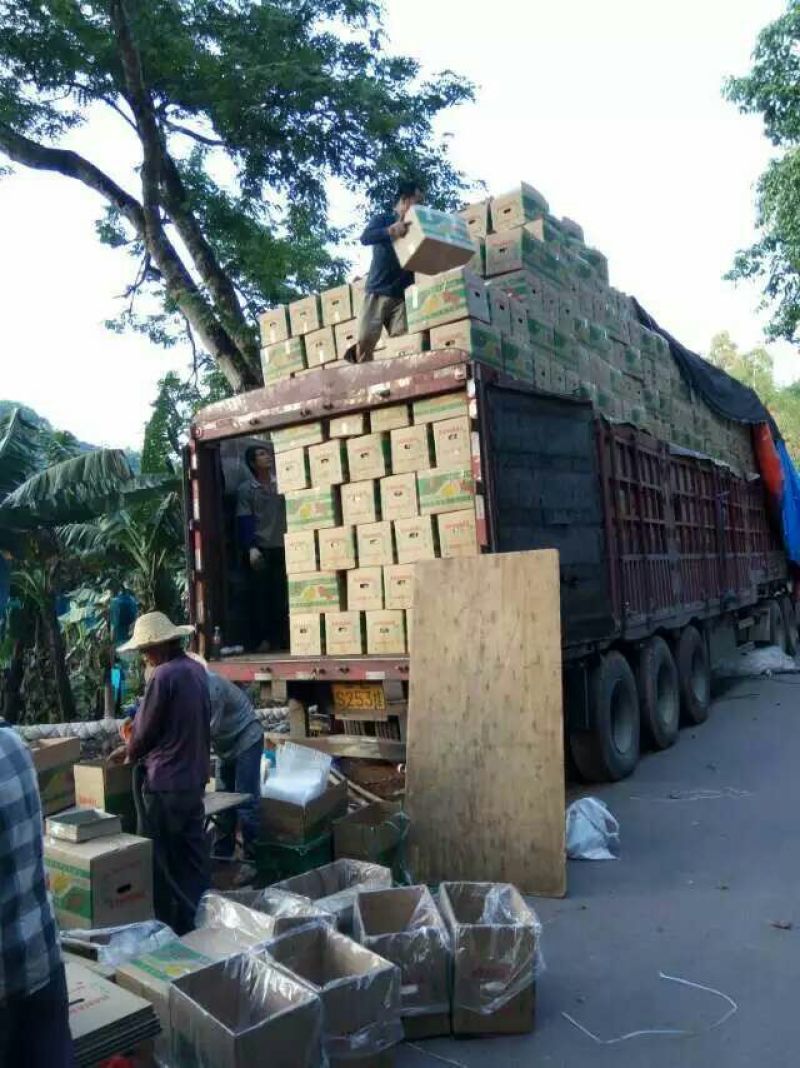 香蕉七成熟