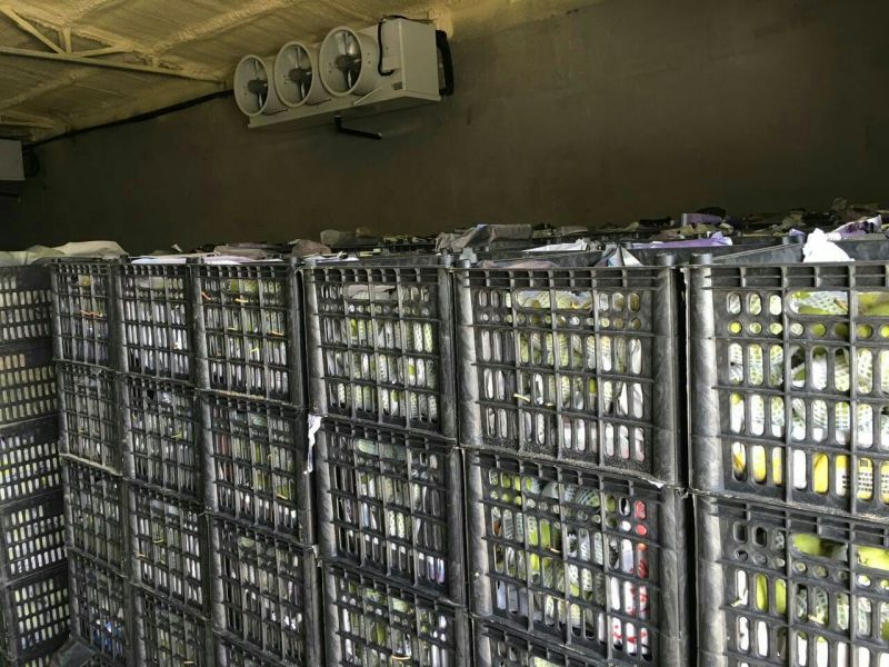皇冠梨250~300g纸箱