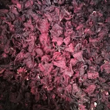 洛神花