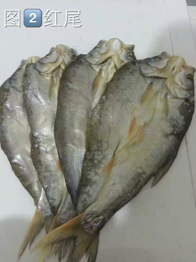 鱼干日晒鱼干