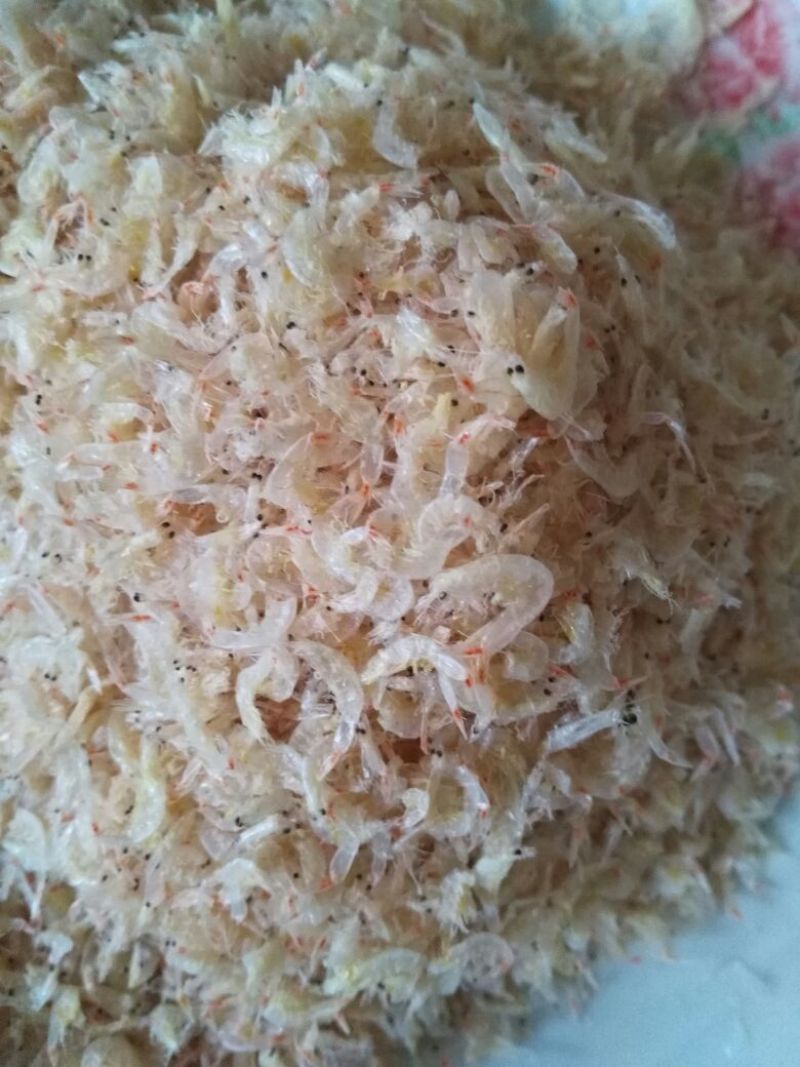 虾皮一级