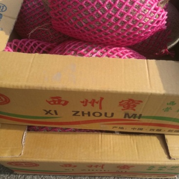西州蜜瓜3斤以上长形
