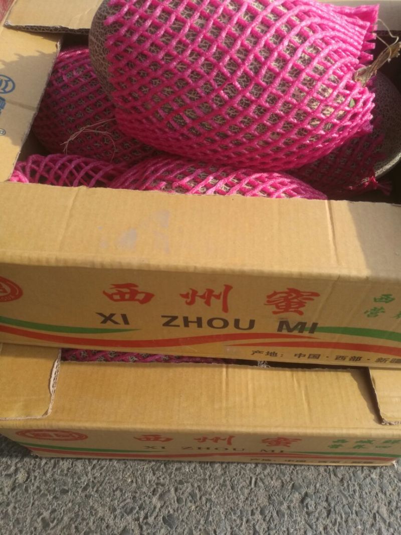 西州蜜瓜3斤以上长形