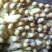 鹅苗250g