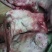 猪头肉散装
