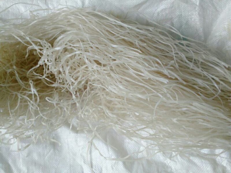 红薯粉条