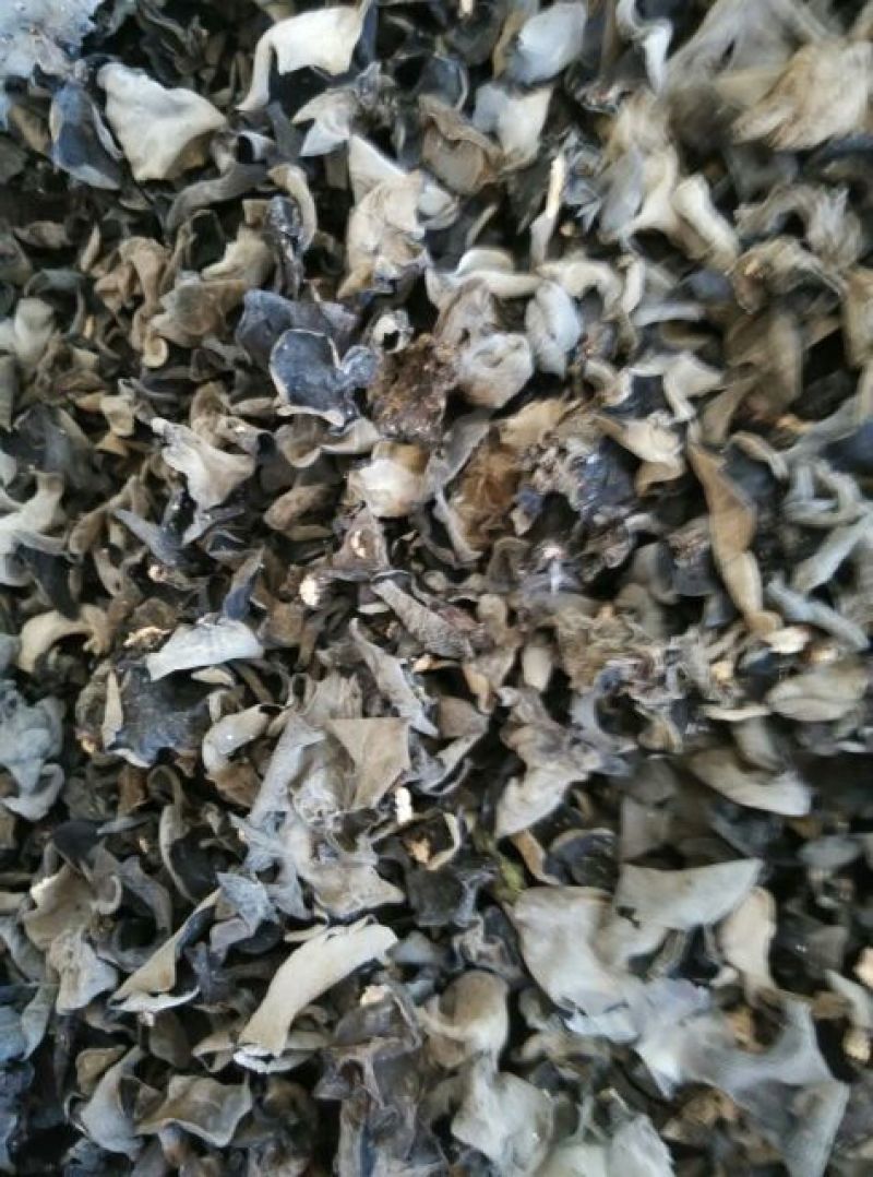干木耳一级