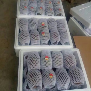 眉县徐香猕猴桃老幼皆宜酸甜可口产地直发包邮