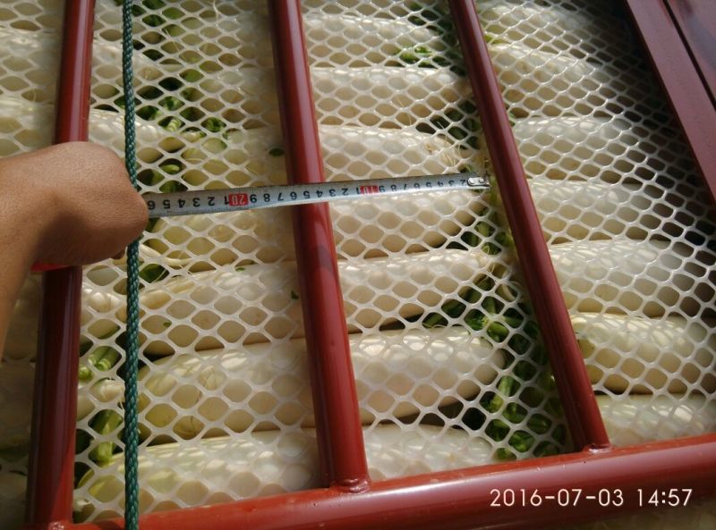白萝卜1.5~2斤起