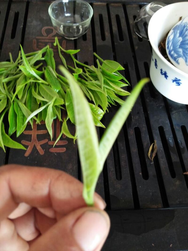 普洱茶
