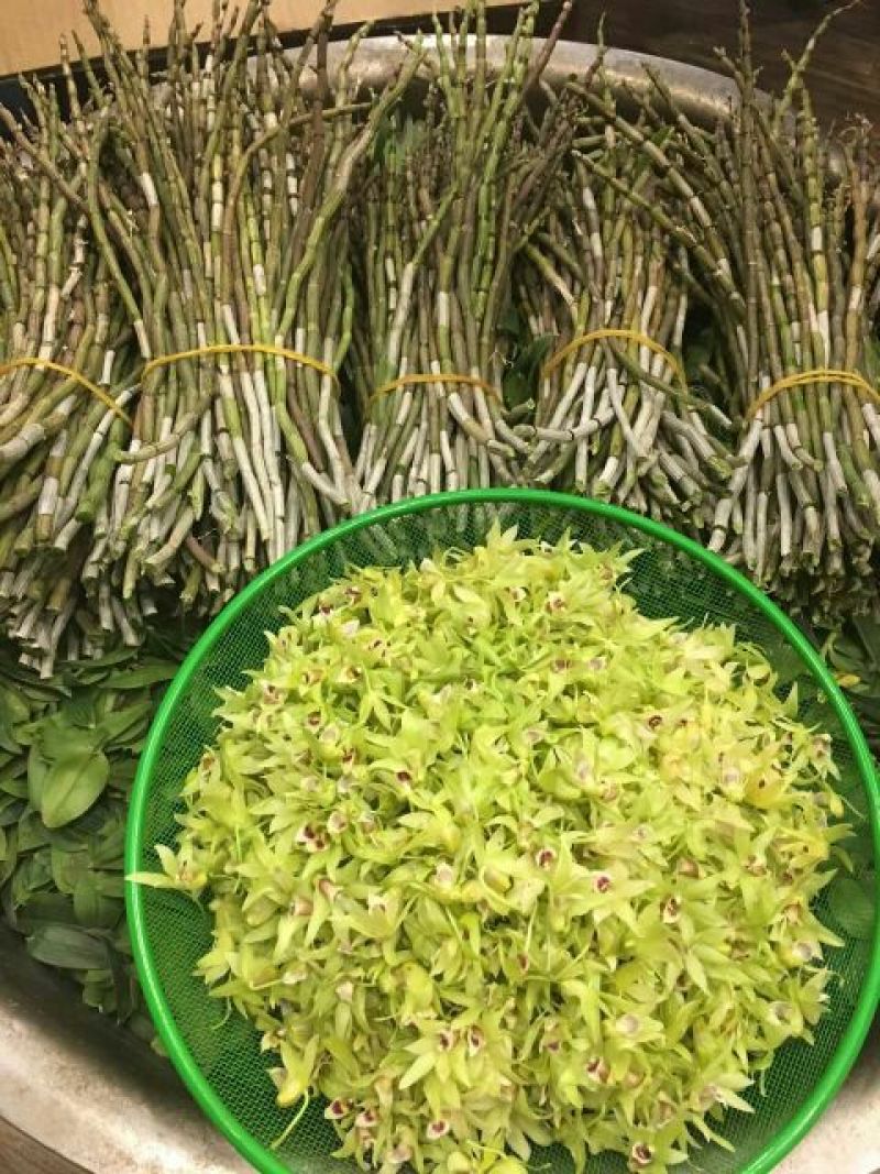 铁皮石斛鲜条雁荡山原产地