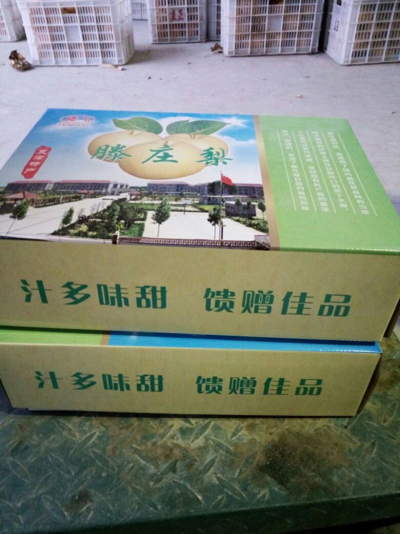 黄晶梨550~600g纸箱