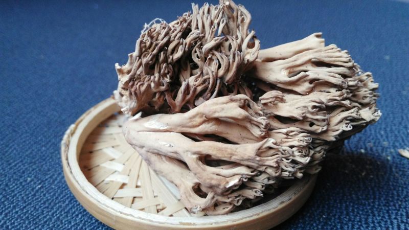 珊瑚菌鹿茸菇野生菌干货