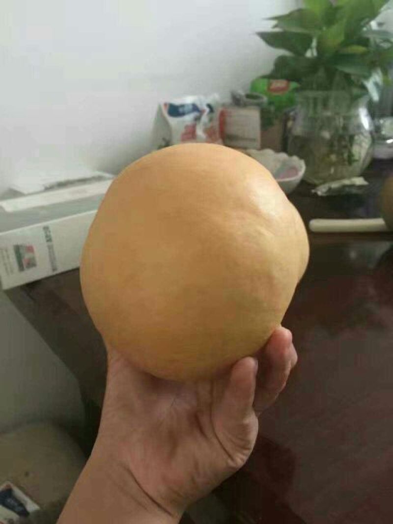 晚秋黄梨600g以上纸箱