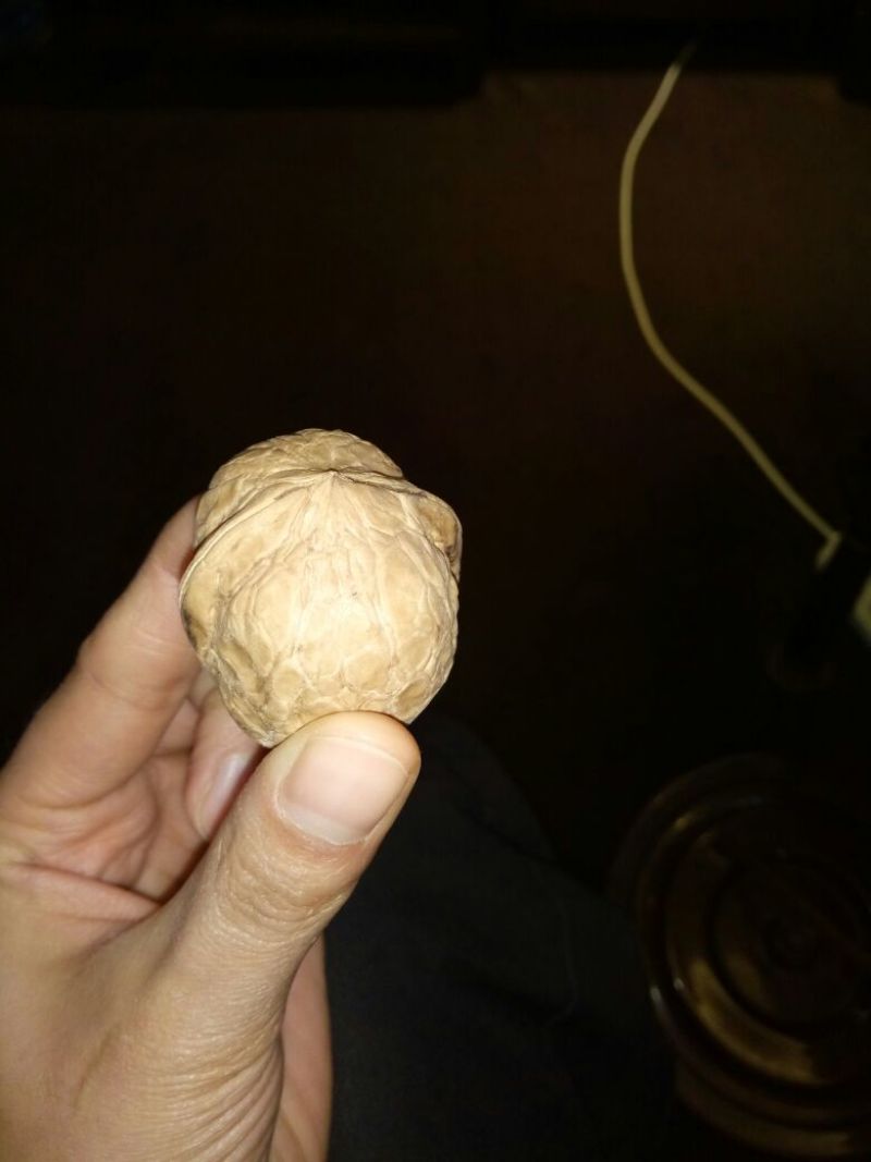 野生核桃去皮干