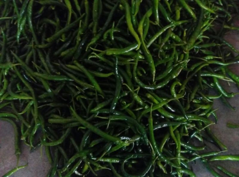 线椒，大青椒