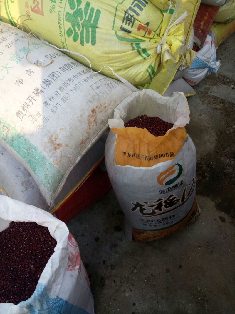 红小豆袋装