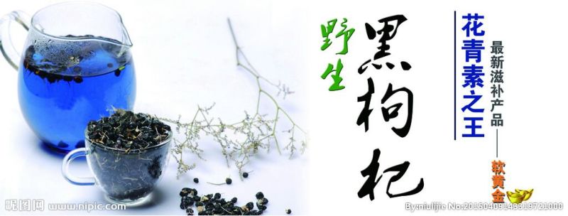 黑枸杞