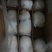 皇冠梨250~300g纸袋