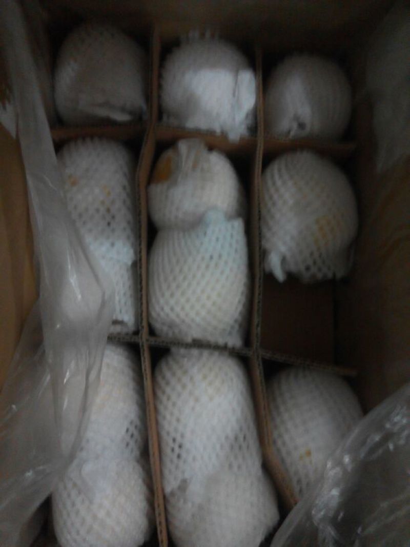 皇冠梨250~300g纸袋