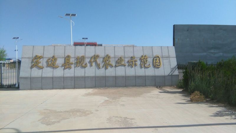 甘蓝1~2公斤