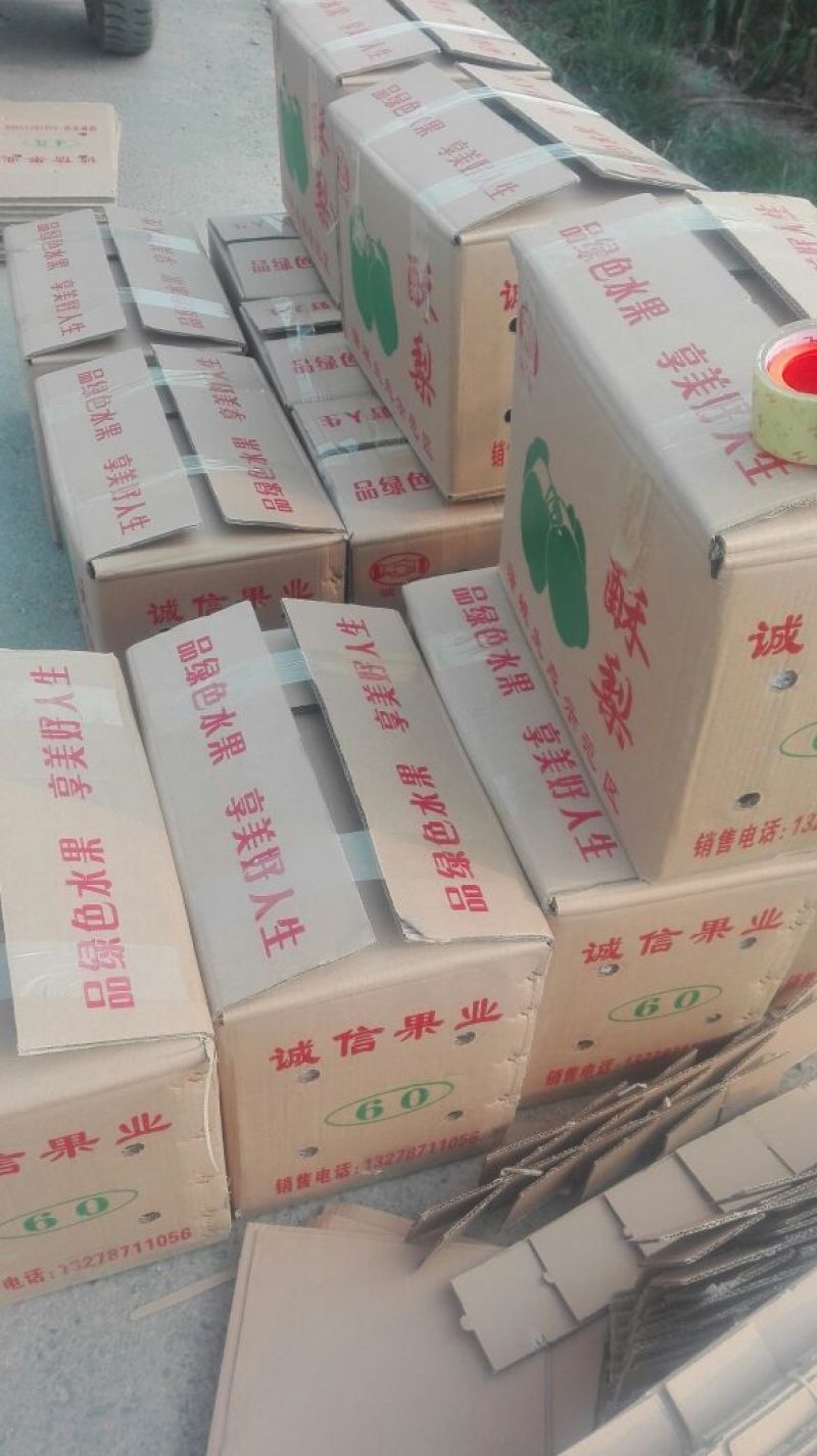 酥梨200~250g纸箱