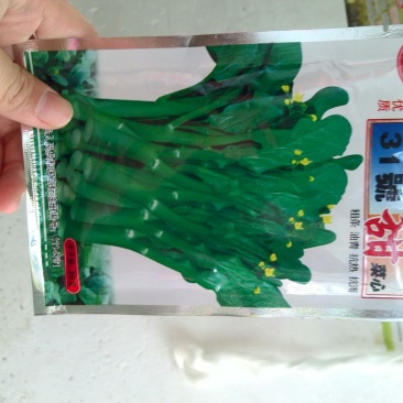 菜苔