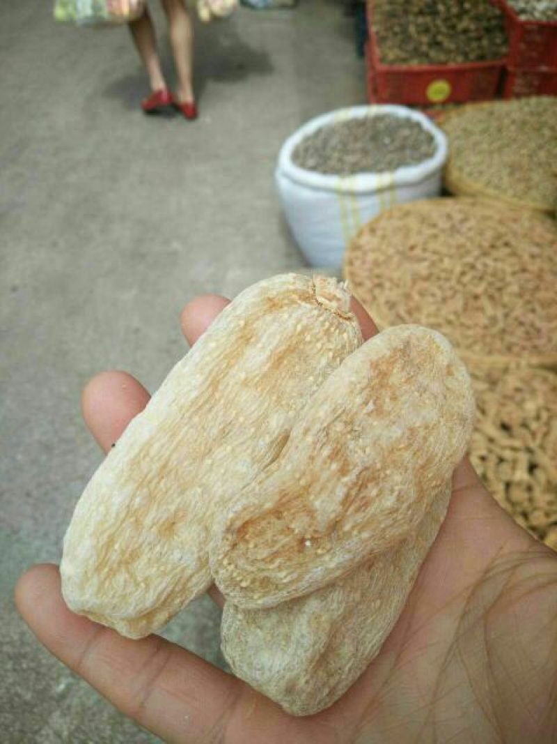 天麻二级