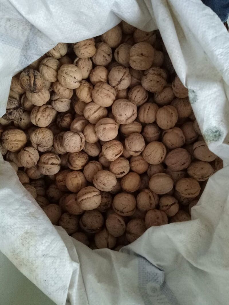 脱皮核桃30mm以上去皮