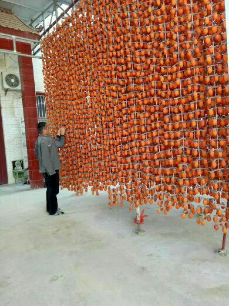 柿饼1~2两