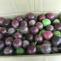 百香果60~70g紫果