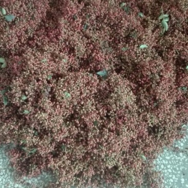 大红袍花椒一级干